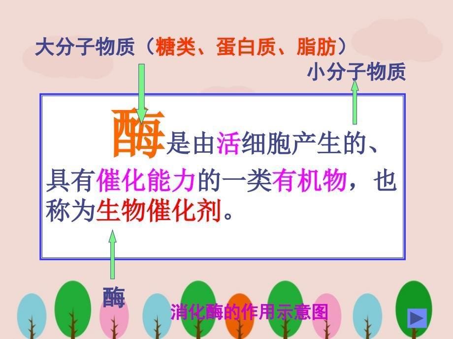 人教新课标版七年级生物下册《消化和吸收》课件ppt.ppt_第5页