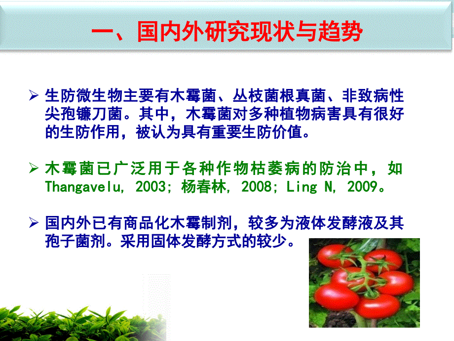 土传病害生防菌哈茨木霉菌剂生产工艺的研究课件.ppt_第4页