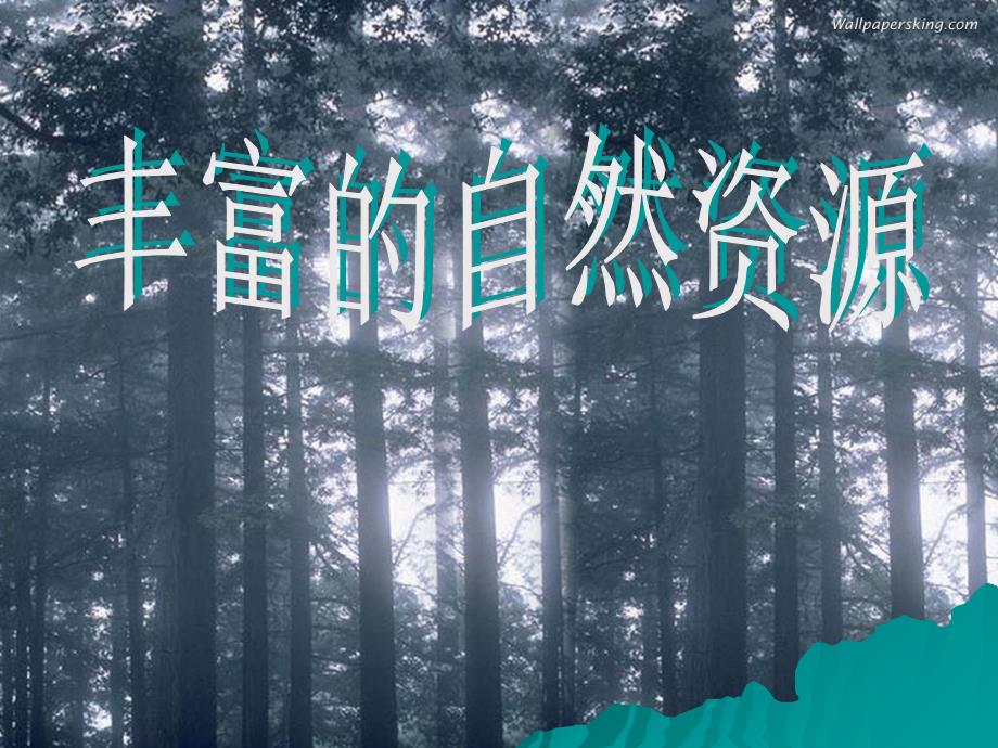 3.1自然资源概况课件（湘教版八年级上） (共38张PPT)_第2页