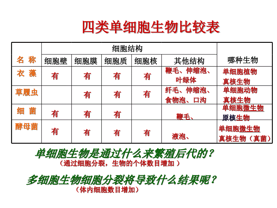 七年级科学显微镜微生物_第2页