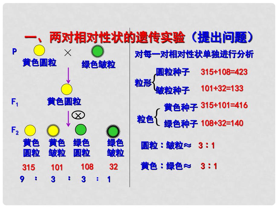 高中生物 第一章 遗传因子的发现 1.2 孟德尔的豌豆杂交实验（二）课件（提升版）新人教版必修2_第2页