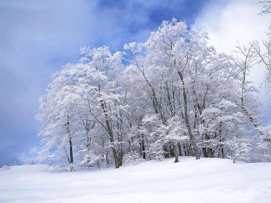 雪地里的小画家演示文稿1_第4页