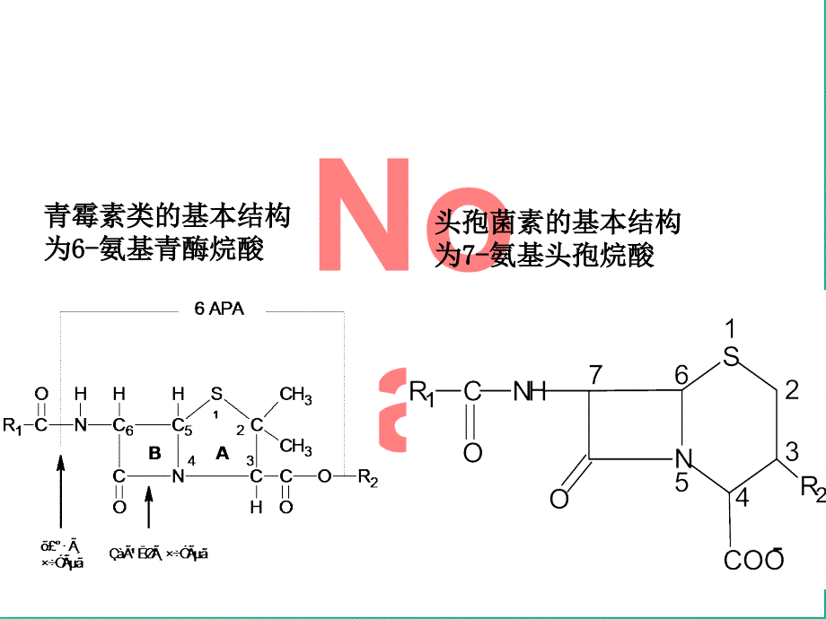 内酰胺类抗生素_第3页