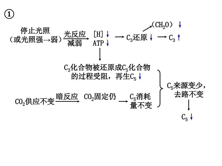 光照与CO2浓度的变化对C3C5等含量的影响_第1页