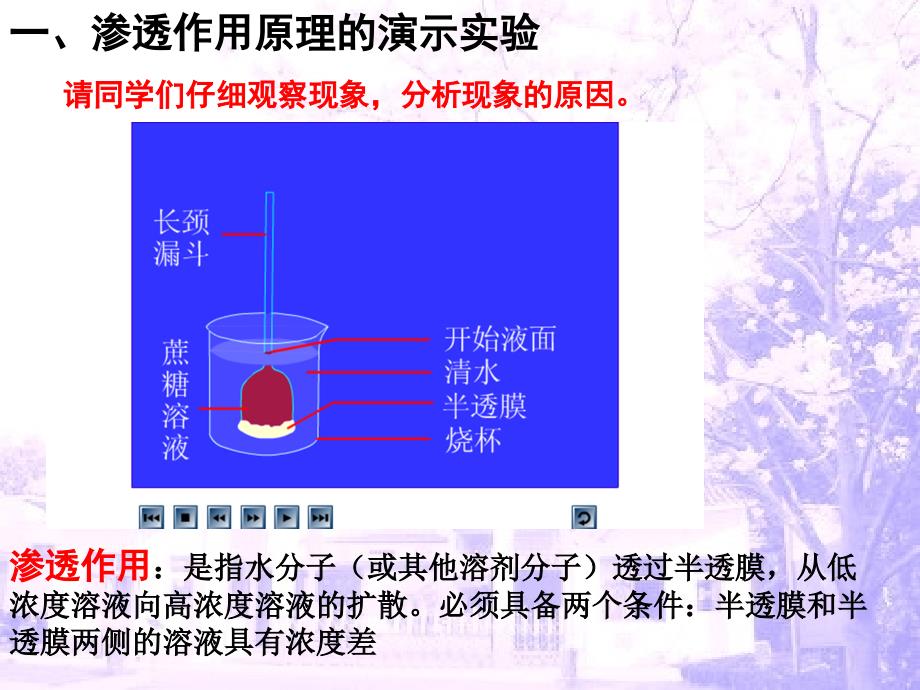 植物细胞的吸水和失水课件_第2页