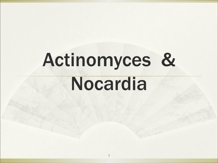 医学微生物学资料：Actinomyces Nocardia_第1页