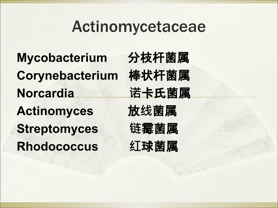 医学微生物学资料：Actinomyces Nocardia_第2页