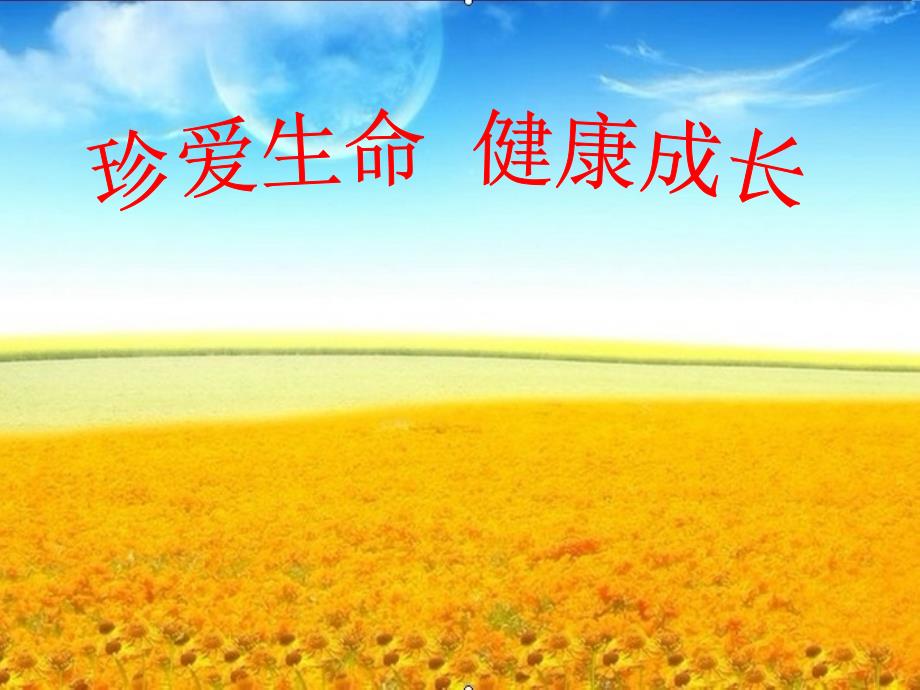 《珍惜生命健康成长》PPT课件.ppt_第1页