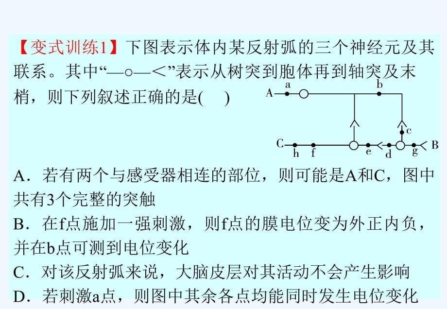 高中生物 专题3 第3课时 神经调节、体液调节及其关系(血糖调节、体温调节)课件_第5页