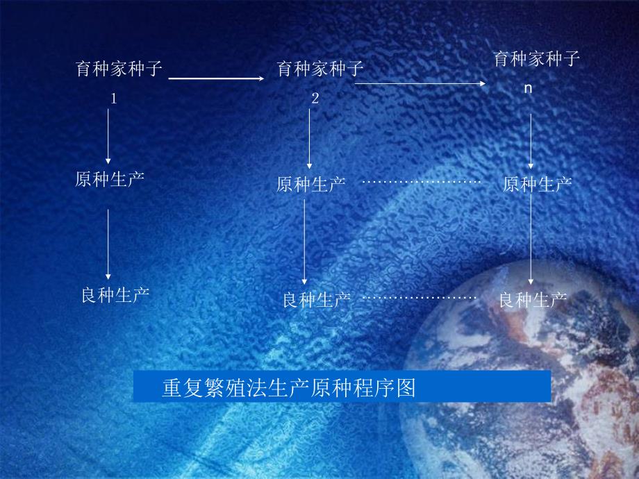 最新大豆水稻大集合种子生产程序PPT课件_第2页