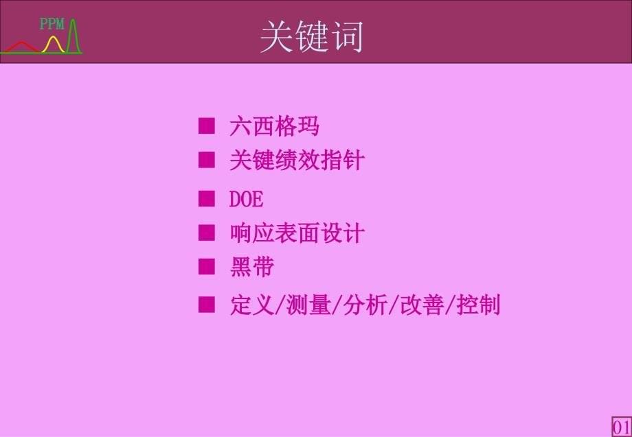 用六西格玛方法实施LCD制造过程改善_第5页