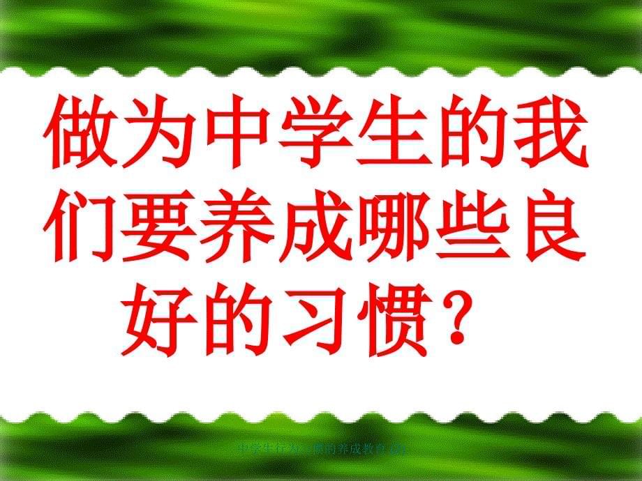 中学生行为习惯的养成教育 (2)_第5页