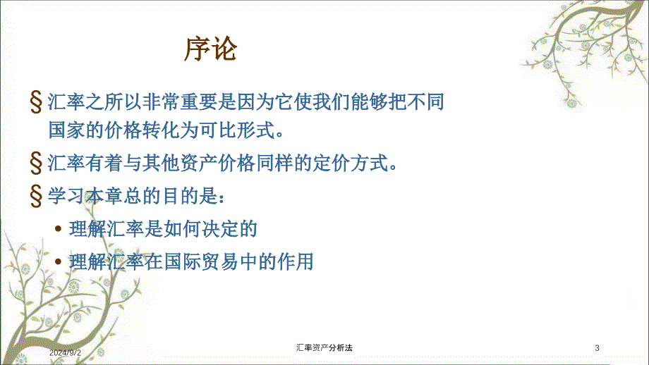 汇率资产分析法课件_第3页