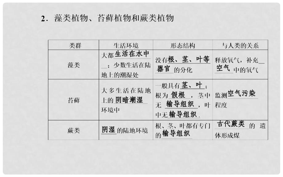 中考生物一轮复习 第三单元 第一、二章 生物圈中有哪些绿色植物以及被子植物的一生课件 新人教版_第3页