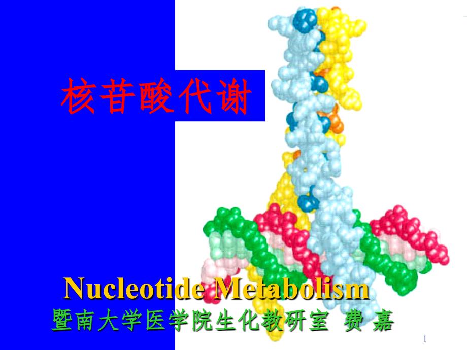 嘌呤核苷酸代谢重点PPT演示课件_第1页