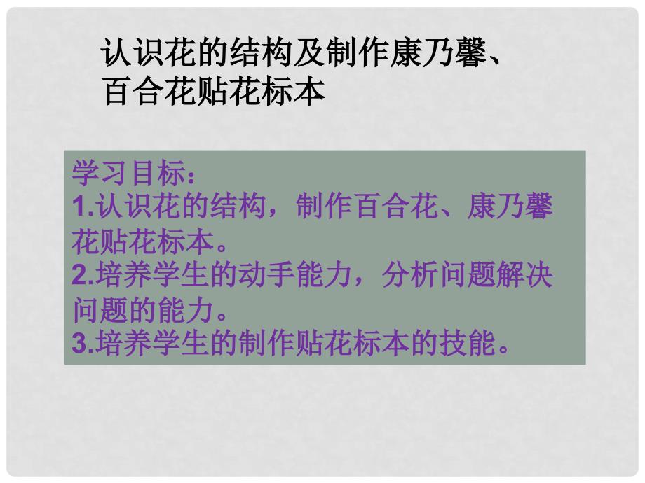 辽宁省辽阳市七年级生物上册 5.5植物的开花和结果课件 （新版）苏教版_第3页