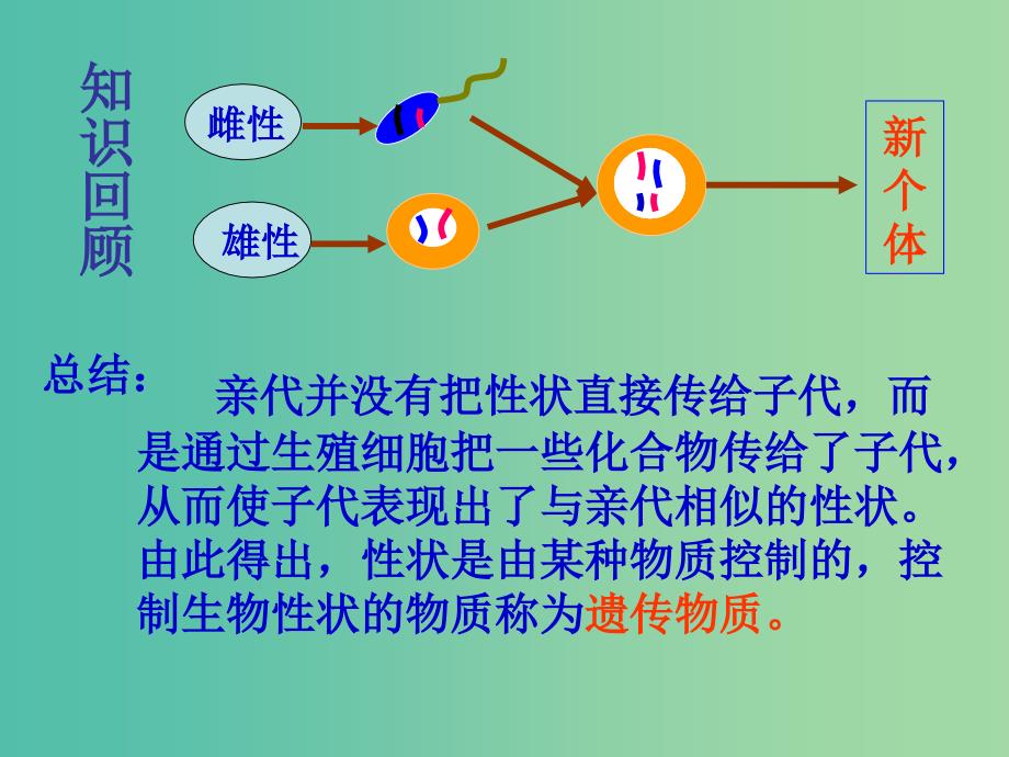 云南省峨山彝族自治县高中生物 第三章 基因的本质 3.1《DNA是主要的遗传物质》课件 新人教版必修2.ppt_第2页