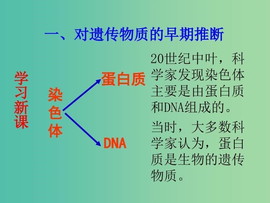 云南省峨山彝族自治县高中生物 第三章 基因的本质 3.1《DNA是主要的遗传物质》课件 新人教版必修2.ppt_第5页