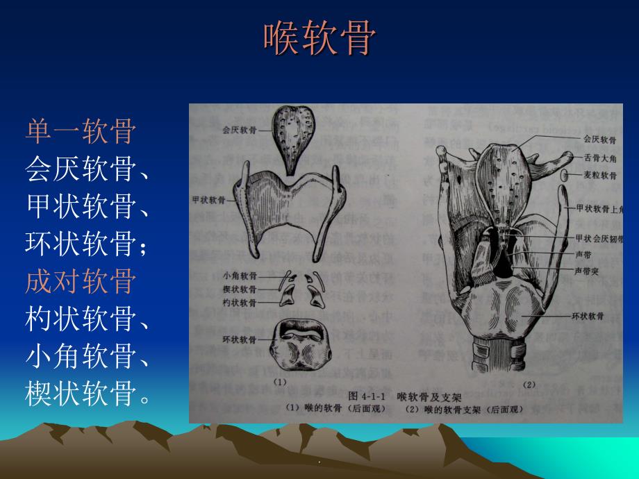 喉癌的CT、MRI诊断_第3页