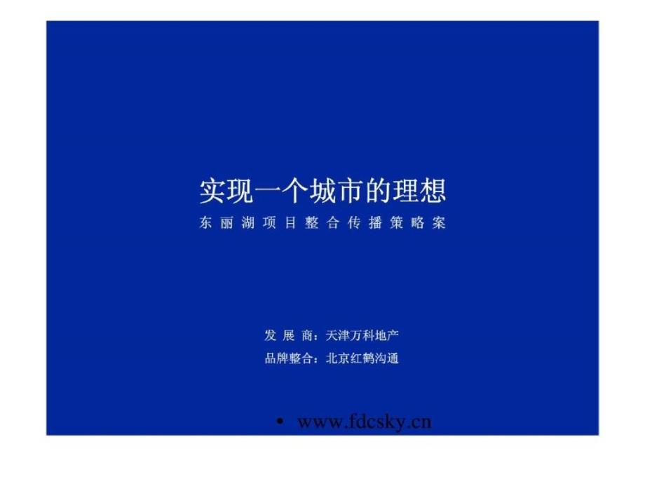 天津万科地产东丽湖项目整合传播策略案_第3页