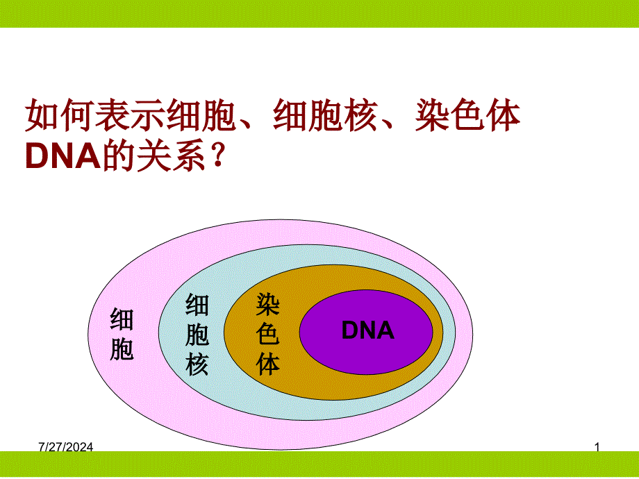 动物细胞的结构层次详解课件_第1页