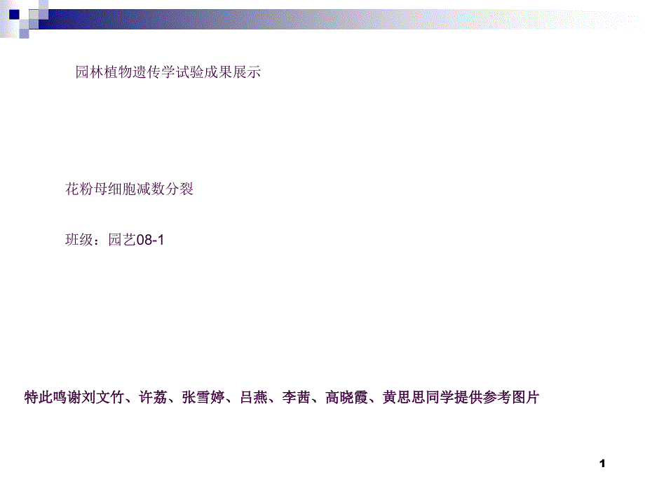 花粉母细胞减数分裂ppt课件_第1页