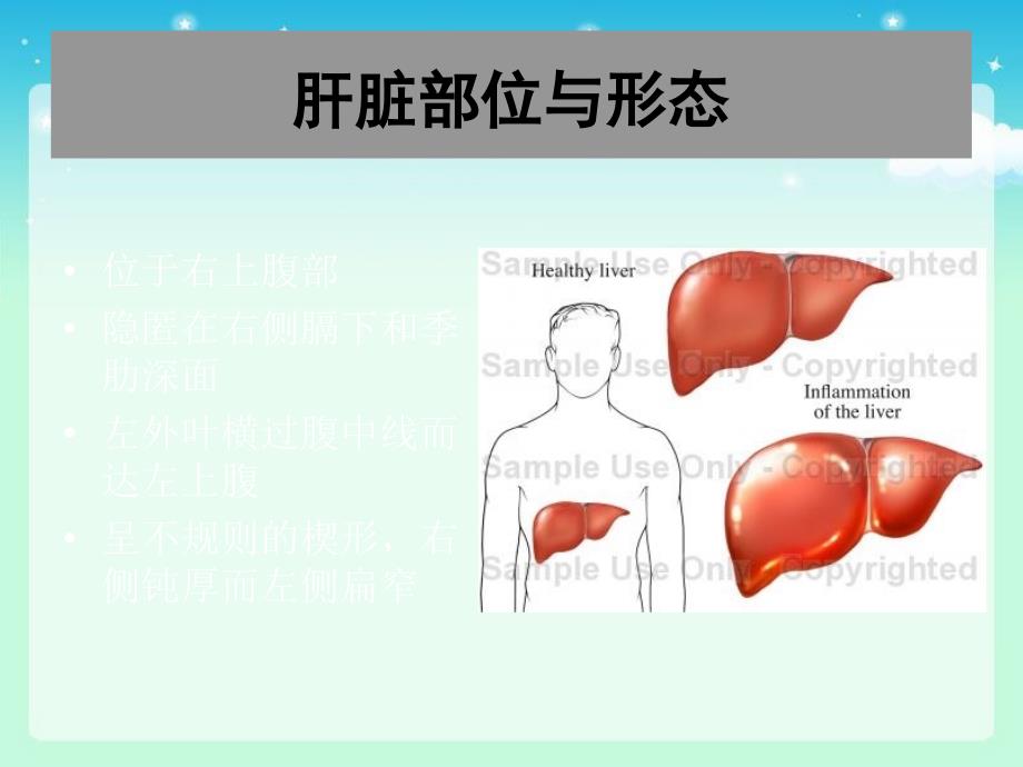 肝脏疾病-外科学ppt课件_第3页