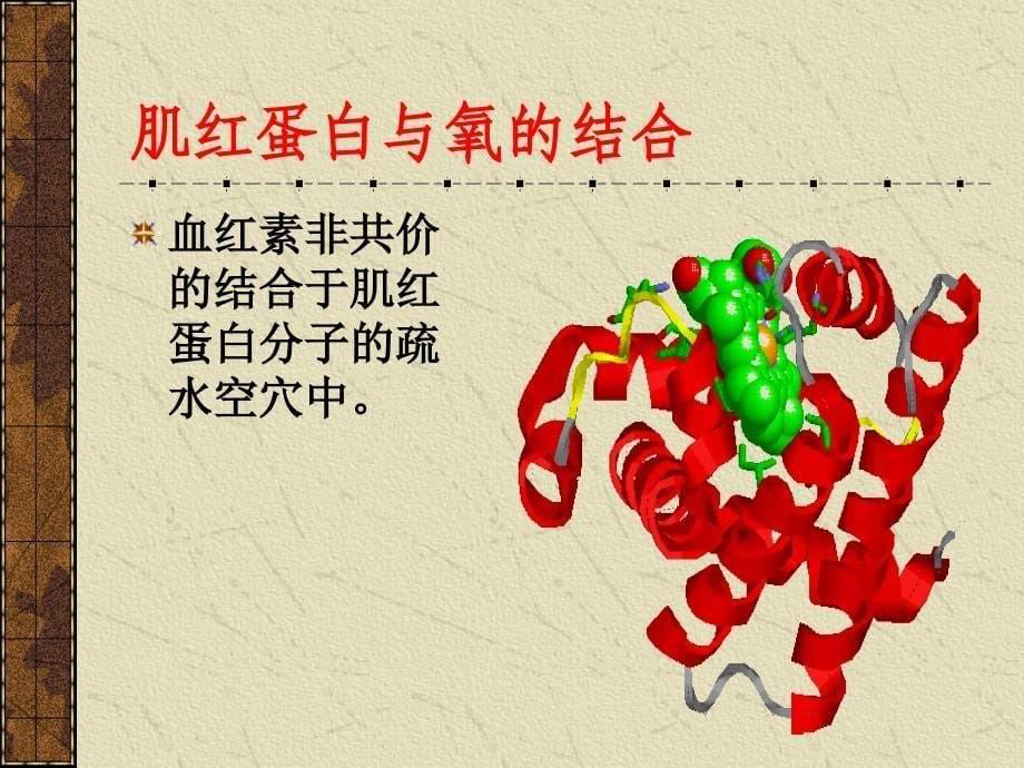 蛋白质的结构和功能.ppt_第5页