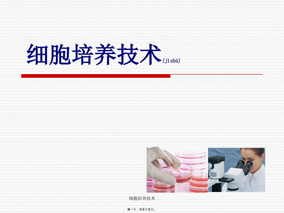 细胞培养技术课件_第1页