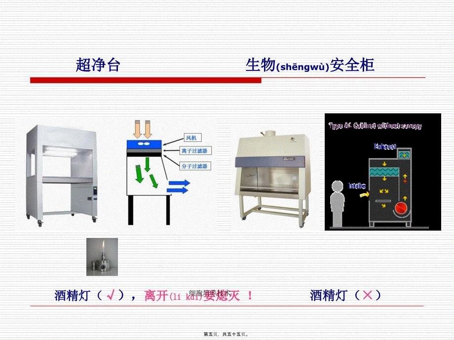 细胞培养技术课件_第5页