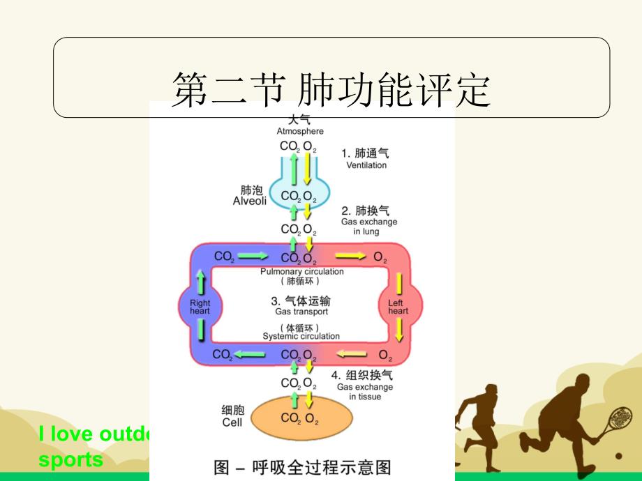 心肺功能评定ppt课件_第3页