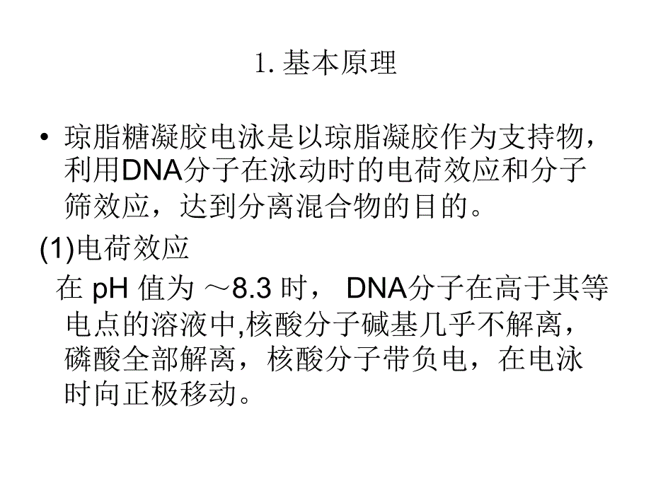 核酸电泳与检测PPT课件_第3页