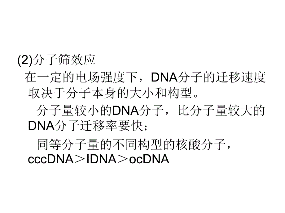 核酸电泳与检测PPT课件_第4页