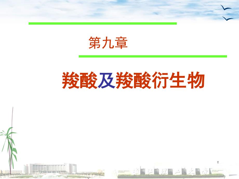 《羧酸及衍生物》PPT课件_第1页