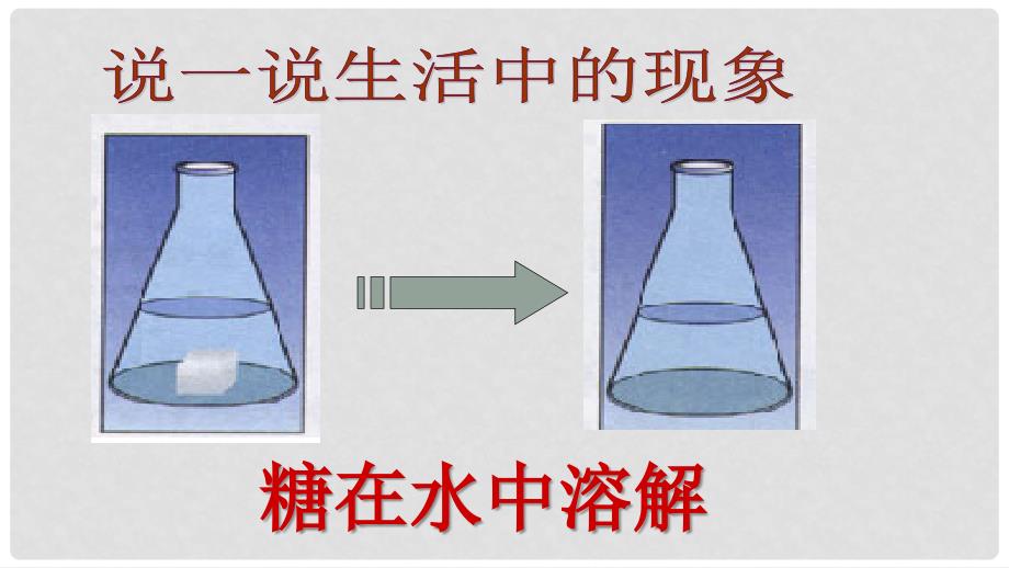 七年级生物上册 第二单元 第一章 第四节 细胞的生活课件 （新版）新人教版_第4页