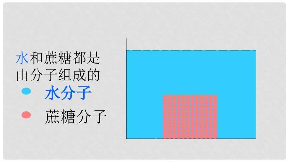 七年级生物上册 第二单元 第一章 第四节 细胞的生活课件 （新版）新人教版_第5页