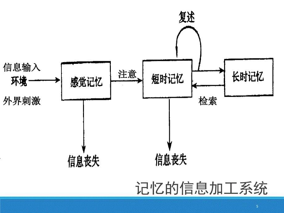 艾宾浩斯遗忘曲线PPT精选文档_第5页