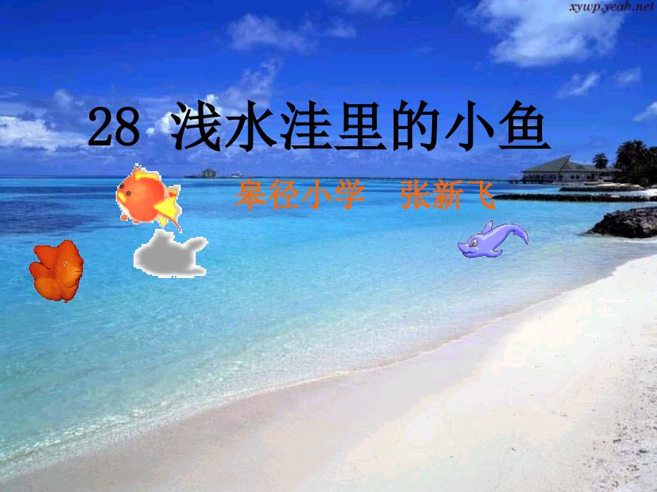 浅水洼里的小鱼_第1页