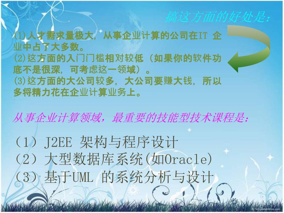 目前IT行业发展的几个方向.ppt_第4页