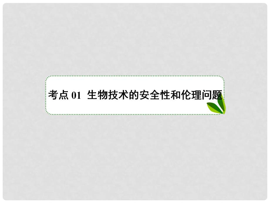 高考生物一轮复习 231143 生物技术的安全性和伦理问题及生态工程课件_第3页