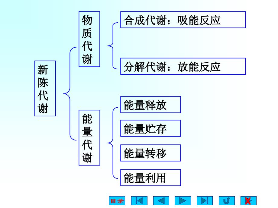 能量代谢与体温2课件_第2页