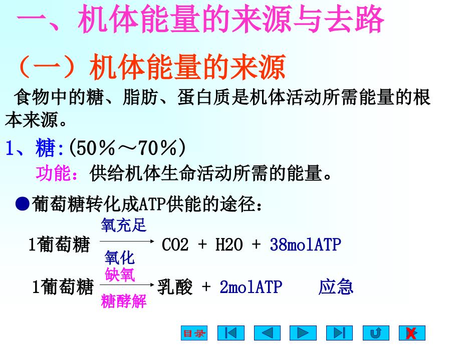 能量代谢与体温2课件_第3页