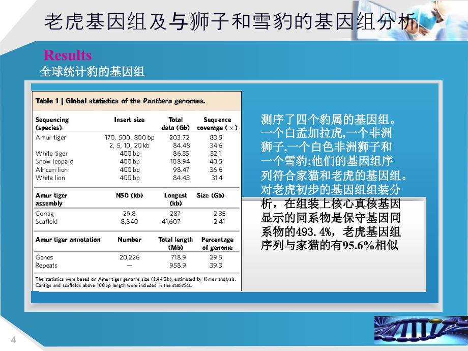 老虎基因分析_第4页