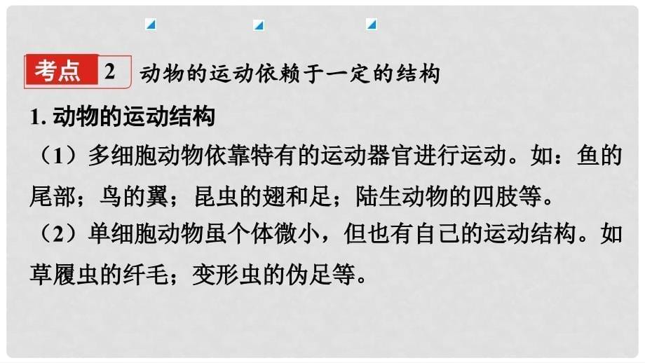 中考生物 八上 第6单元 动物的运动和行为复习课件_第5页