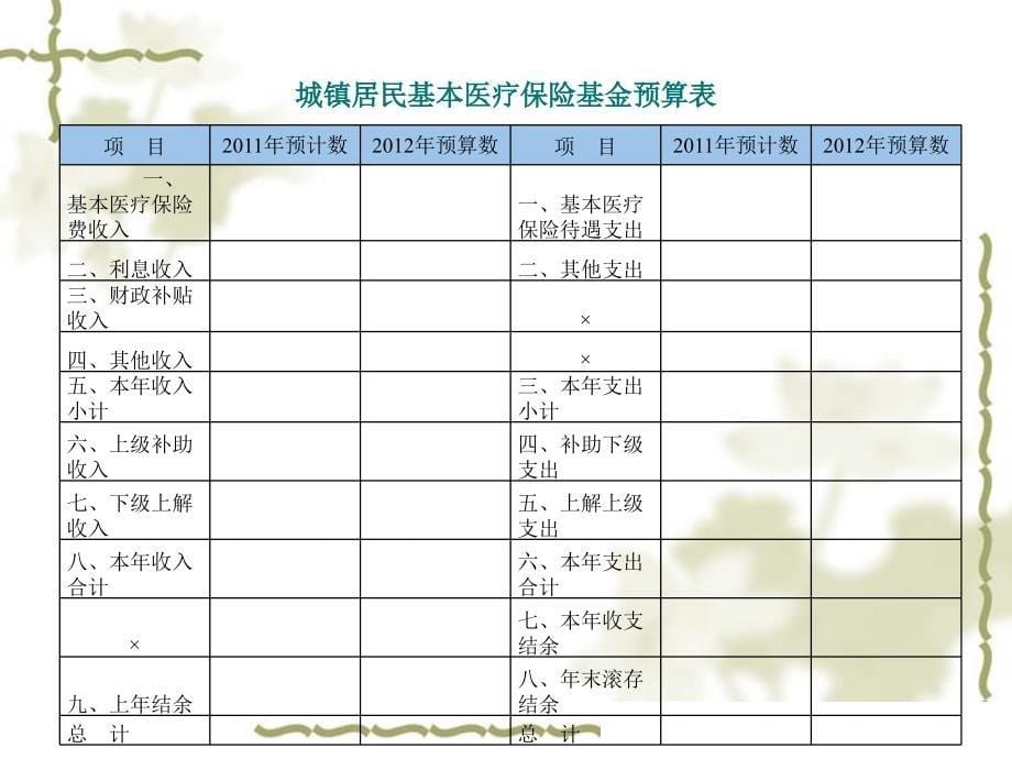 城镇居民基本医疗保险预算培训_第5页