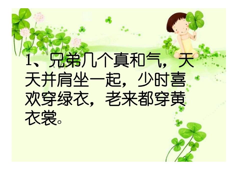 各式各样的水果.ppt2_第3页