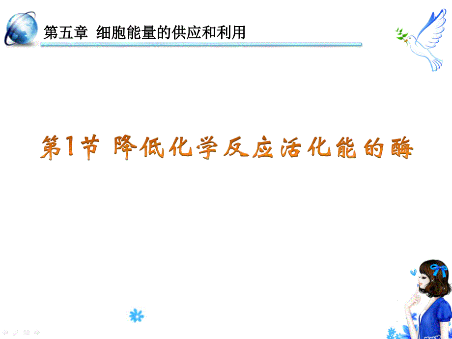 5.1降低化学反应活化能的酶课件5_第3页