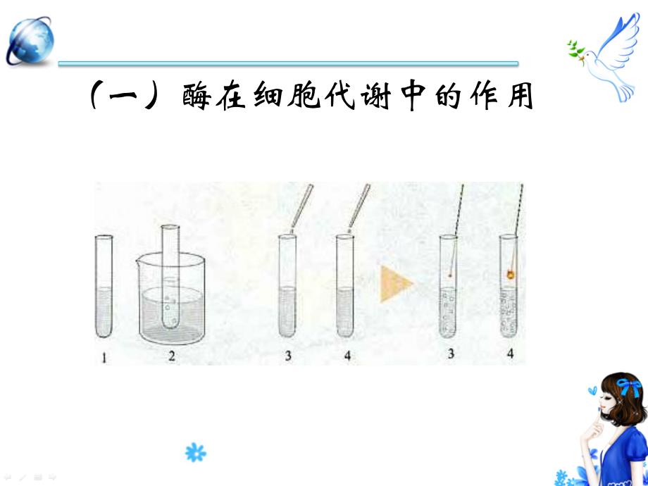 5.1降低化学反应活化能的酶课件5_第4页