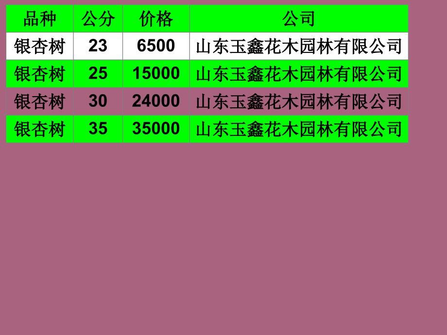 银杏树选山东玉鑫花木园林有限公司ppt课件_第4页