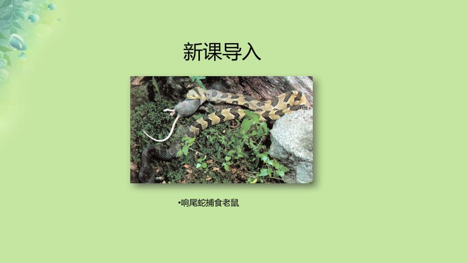 七年级生物上册 1.2.2《生物学研究的基本方法》 （新版）北师大版_第2页